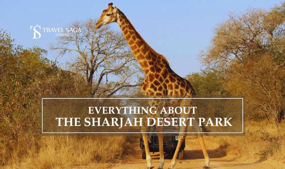 Everything You Should Know About The Sharjah Desert Park Travel Saga