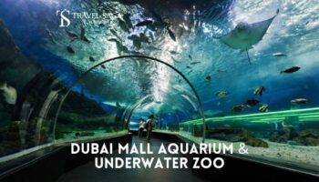 Dubai Mall Aquarium and Underwater Zoo Ticket
