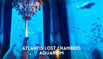 Atlantis Lost Chambers Aquarium Ticket