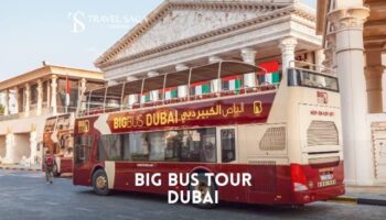 Big Bus Tour Dubai Ticket