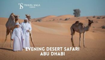 Evening Desert Safari In Abu Dhabi