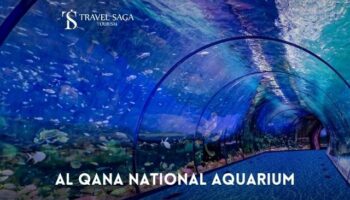 Al Qana National Aquarium Ticket