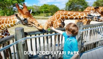 Dubai Zoo Safari Park Tickets