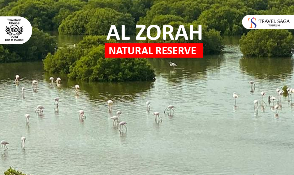 Al Zorah Natural Reserve