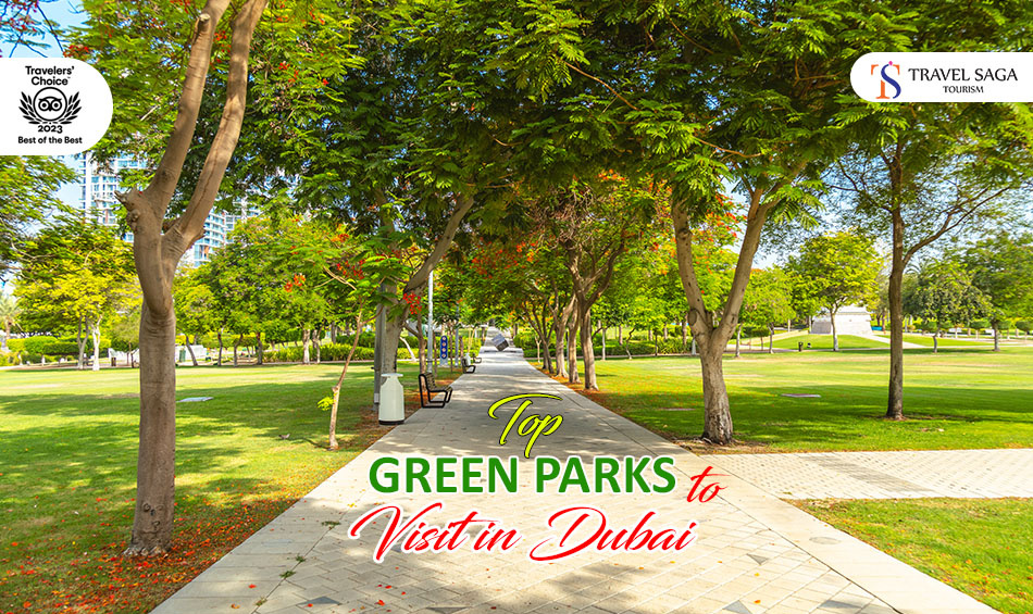 Top Green Parks to Visit in Dubai