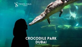 Crocodile Park Dubai Ticket