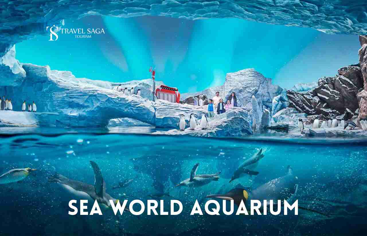 sea world aquarium thumbnail travel saga tourism