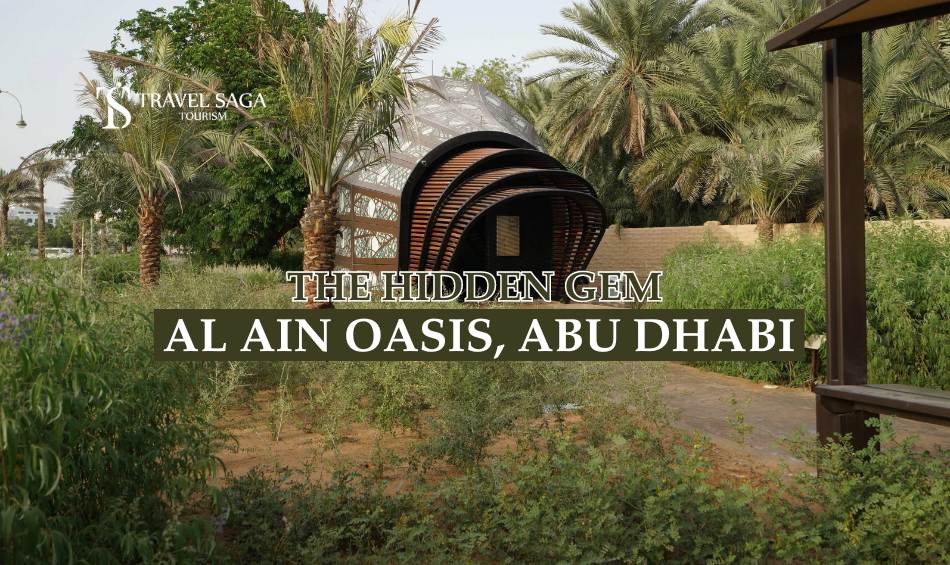 Al Ain Oasis abu dhabi blog banner by Travel Saga Tourism