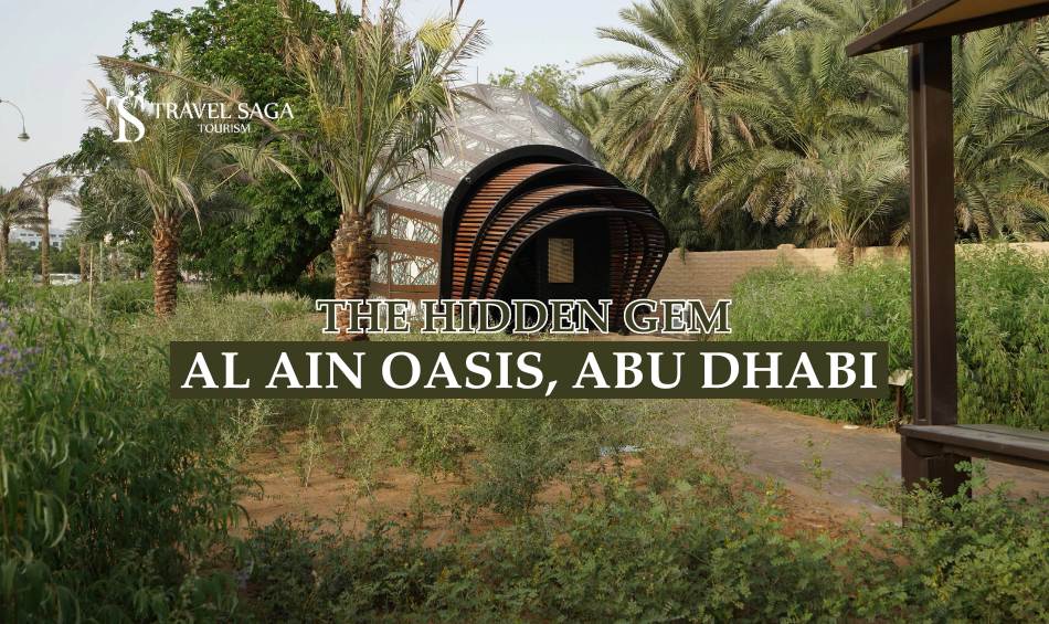 The Hidden Gem of Abu Dhabi: Al Ain Oasis - Travel Saga Tourism