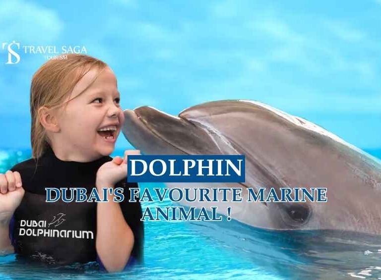 Dubai Dolphinarium blog banner by Travel Saga Tourism
