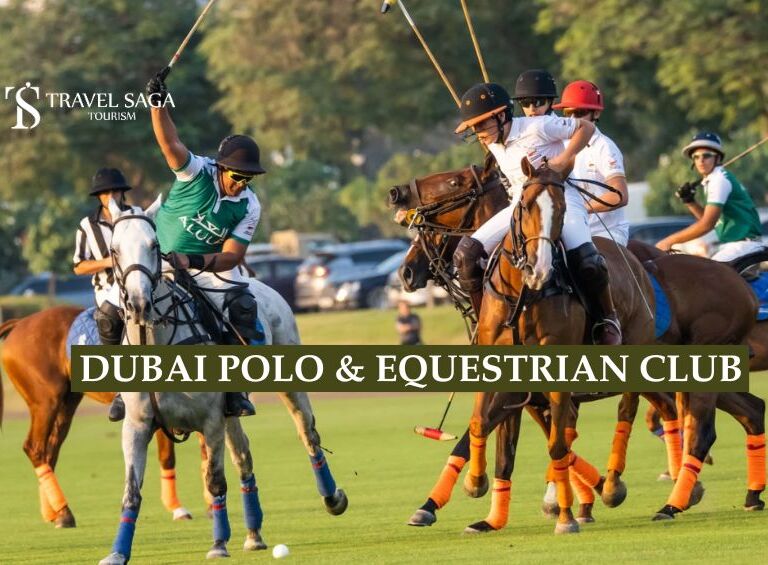 Dubai Polo & Equestrian Club blog banner by Travel Saga Tourism