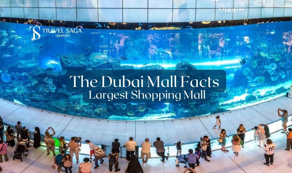 Dubai Mall Facts Top Things to Do and MustSee Attractions